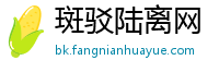 斑驳陆离网